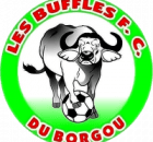 Buffles du Borgou FC