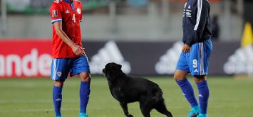 أرشيفية- لحظة اقتحام كلب مباراة تشيلي والأرجنتين يوم 27 يناير 2022 في تصفيات مونديال قطر