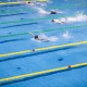 السماح لسباحي روسيا وبيلاروسيا بالمشاركة في المسابقات الدولية كمحايدين(Getty)