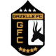 Gazelle FC