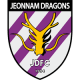Jeonnam Dragons FC
